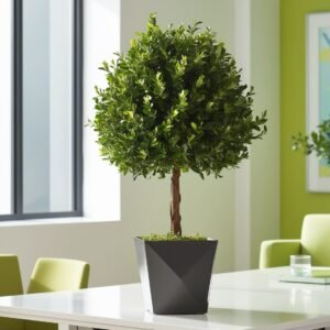 Live Myrtle Topiary Plant